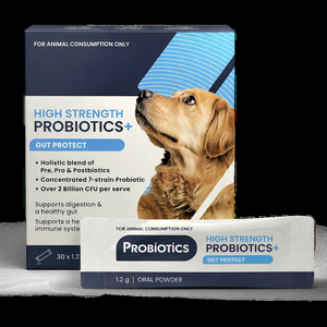 Complément alimentaire multivitaminé biologique pour chats et chiens - Probiotiques et prébiotiques pour le soutien intestinal et immunitaire - Poudre - OEM et ODM - Product Image 3