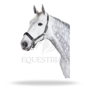 Harnais de cheval en nylon rembourré avec sangles réglables et mousqueton - Product Image 4