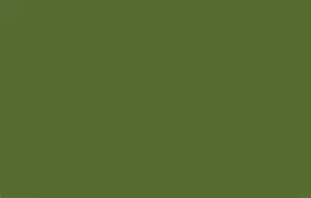 สีเขียวมะกอก