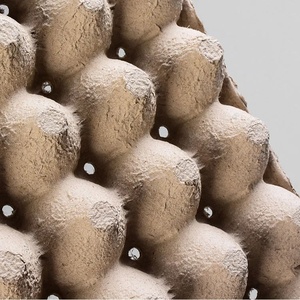 Barquette à œufs en fibre de canne à sucre moulée 100 % compostable, emballage durable à 30 alvéoles, sans produits chimiques, biodégradable, pour œufs de volaille - Product Image 5