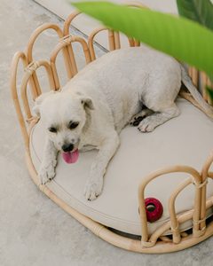 Lit pour animaux de compagnie en rotin tressé à la main, canapé rond pour chien, chaise longue en osier naturel pour chat avec coussin, mobilier d'intérieur pour animaux de compagnie, décoration pour la maison - Product Image 5