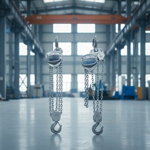 Palans à chaîne manuels en acier allié, capacité de levage de 1 tonne, hauteur de levage de 3 mètres, palan à chaîne portable, <span class=keywords><strong>poulie</strong></span> de levage manuelle - Product Image 3