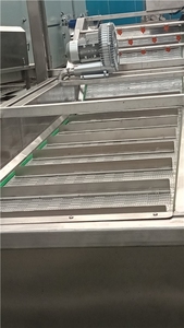 Ligne de lavage de Offre Spéciale mangue banane machine à laver mangue bulle machine à laver fruits légumes - Product Image 4