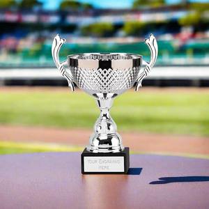 Trofeo Deportivo de Metal Personalizado de Alta Demanda para Ceremonias de Premiación Empresarial, Disponible para Suministro Mundial - Product Image 5