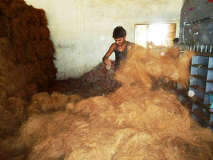 Vente en gros de balles de fibres de coco de qualité export pour matelas, fabrication de cordes, exportation de fibres de coco d'Inde - Product Image 4