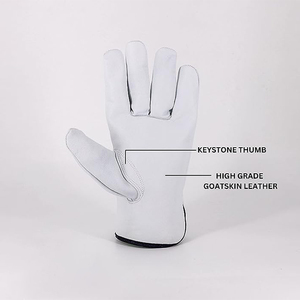 ถุงมือหนังสีขาวเนื้อเรียบ ปราศจากน้ำยาง สำหรับงานทั่วไป ถุงมือขับรถ - Product Image 3