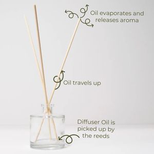 Bâtonnets diffuseurs en rotin bio durables, bâtonnets aromatiques en bois pour flacons diffuseurs de parfum - Product Image 6