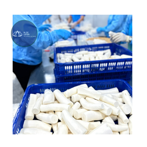 Meilleures ventes : Morceaux de manioc naturel surgelé, racines de yucca coupées, emballés sous vide pour la vente au détail et la restauration - Product Image 1