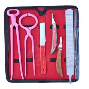 Kit d'outils de fermeur avec râpe à sabots, couteau à sabots, testeur de sabots, coupe-sabots à dents affûtées de 15 pouces, couteau courbé et boucle à abcess - Product Image 1