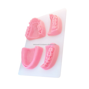 Almohadilla de Entrenamiento de Sutura Dental Veterinaria, Modelo Anatómico de Silicona 3D para Práctica, Instrumentos Veterinarios, Proveedor Mayorista - Product Image 4