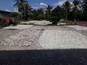 กระดูกปลาหมึกแคลเซียมสูงสำหรับนกแก้ว หอยทาก และเต่า ผู้ขายและผู้ส่งออกกระดูกปลาหมึก ขนาด 5-10 ซม. กระดูกปลาหมึกเวียดนามคุณภาพพรีเมียม 27 - Product Image 3