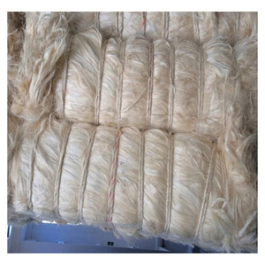 Fibre de sisal naturelle de qualité supérieure pour la fabrication de cordes, les applications agricoles et les marchés d'exportation internationaux - Product Image 1