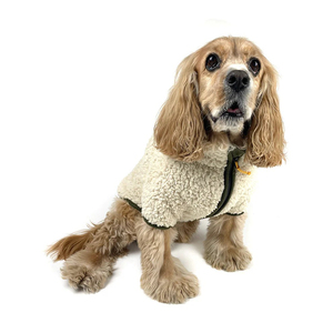 Competitive Rates Most Demanding Pet Clothes Zipper Closure Hooded Coats Breathable Reinforced <b>Stitched</b> Pet Apparel Dogs Jackets - Product Image 4