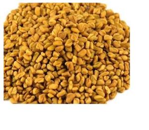 Graines de fenugrec naturelles de qualité supérieure pour cornichons, épice indienne premium, graines de fenugrec en promotion par le fournisseur - Product Image 2