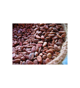 Fèves de cacao de qualité supérieure prêtes à être expédiées, vente en gros, qualité supérieure, qualité alimentaire, approvisionnement pour l'exportation - Product Image 3
