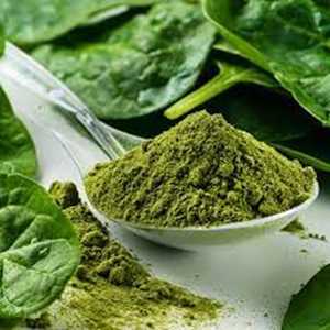 ผงใบโอลิสต์หะ ออร์แกนิค บริสุทธิ์ 100% ไม่มีสีสังเคราะห์ น้ำหนัก 100 กรัม อายุการเก็บรักษา 36 เดือน - Product Image 1