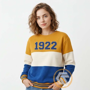 Sweat-shirt en coton brodé sur le devant, personnalisé, de haute qualité, Sigma Gamma Rho, hiver, écologique, pour femmes, GREEK TREASURES - Product Image 2