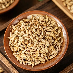 Grano de Cebada Recién Cosechado Empacado para Exportación con Pureza Natural del Grano y Suministro al por Mayor para Importadores de Alimentos - Product Image 5