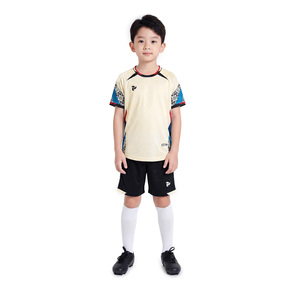 ชุดฟุตบอลแบบกำหนดเอง Pegasus แห้งเร็ว ระบายอากาศได้ดี สำหรับทีมชาย หญิง และเด็ก รับผลิตแบบ OEM ODM - Product Image 3