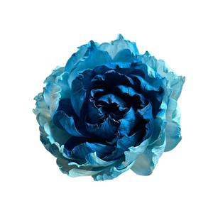 Fleurs de pivoine bleu foncé et bleu clair en bois de Sola 11 CM, tige en fibre de plante de Sesbania, aromathérapie artisanale - Product Image 2