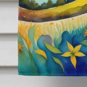 ธงบ้านโพลีเอสเตอร์หลากสีขนาดใหญ่ hypersticum. John Wort ตกแต่งลานแบนเนอร์แขวนผนังสำหรับงานศิลปะเสาระเบียง - Product Image 4