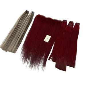 ส่วนต่อขยายแบบคู่มีขนยาว13X6 HD ด้านหน้าสีบลอนด์สีน้ำตาลตรง99J เบอร์กันดี - Product Image 1