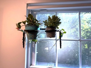 Macetero Metálico Simple para Montar en la Pared, para Plantas de Interior, Decoración del Hogar y Jardinería Vertical en Espacios Pequeños, de la India - Product Image 3