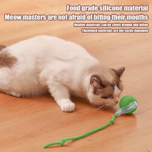 Grande e piccolo gatto & cane al coperto interattivo Pet palla intelligente movimento di rotolamento giocattolo - Product Image 5