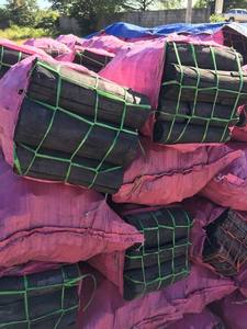 2025 Briquettes de charbon de bois en coquille de noix de coco en gros du Vietnam pour barbecue - Product Image 4