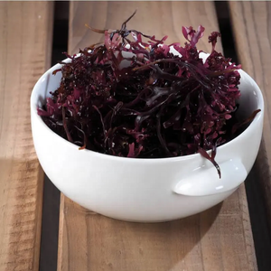 WILD CRAFT SEA MOSS /EUCHEUMA COTTONII SPINOSUM SEAWEED /IRISH SEAMOSS WHOLESALE for PRODUCING CARRAGEENAN - Liam +84865912655 - Product Image 3