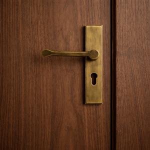 High Quality Brass <b>Door</b> <b>Handle</b> with Back Plate, Modern Lever Design, Durable Heavy Duty <b>Handle</b> for Home, Office & Hotel <b>Doors</b> - Product Image 4