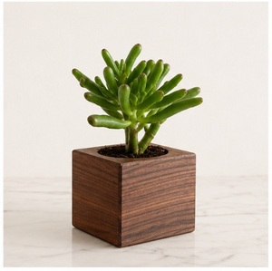 Jardinera Cuadrada de Madera Maciza Hecha a Mano para Suculentas y Hierbas de Interior, Maceta Ecológica de Nogal Negro para Escritorio y Hogar - Product Image 5