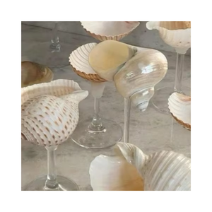 Verres décoratifs en coquillages naturels faits à la main, style côtier, vente en gros - Product Image 4