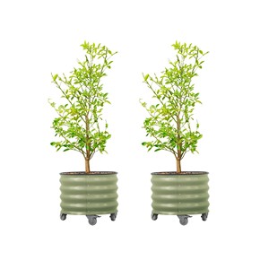 Vases et pots à fleurs en MDF, fabrication sur mesure, vente en gros |   Aqdus Saleem Inde - Product Image 2