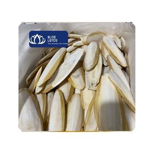 [VENTA CALIENTE] Hueso de Sepia Seco Natural para Loros, Agapornis, Periquitos y Pinzones - Vietnam 3-15cm - Product Image 1