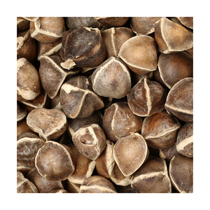 Graines de Moringa sélectionnées, adaptées à l'établissement agricole et à la production de cultures - Product Image 6
