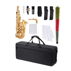 Kit per Principianti per Sassofono Contralto in Mib con Custodia, Bocchino, Cinghie, Panno per Pulizia, Asta, Guanti, Grasso - Tutto in Ottone - Product Image 1