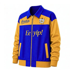 Veste universitaire Sigma Gamma Rho Sorority, bleu et or, broderie de patchs, blocs de couleur, fermeture éclair sur le devant, logo, veste de baseball pour femmes - Product Image 5