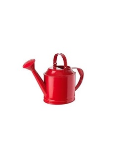 Arrosoir en métal design, motifs floraux imprimés sur émail, aspect attrayant, outil d'arrosage durable pour plantes d'intérieur et d'extérieur - Product Image 6