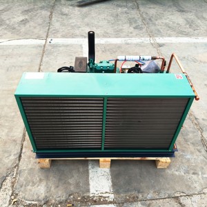 4des-5 5HP tủ lạnh máy nén lạnh ngưng tụ đơn vị trong bán phòng lạnh container lạnh giá máy nén - Product Image 4