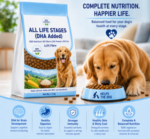Gránulos Naturales Secos para Perros y Gatos, Apoyo Inmunológico, Calidad Premium, Nutrición Completa, Fabricante OEM ODM, Suministro a Granel, Empaque Personalizado - Product Image 6