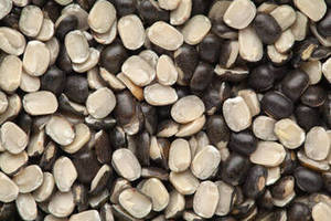Urad Dal Indio, Gramo Negro Entero, Pulpa de Frijol de Nueva Temporada, Suministro a Granel para Exportación 25kg FitTree International para Importadores Globales - Product Image 5