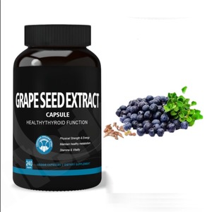 Capsules de pépins de raisin prêtes à l'exportation – Formule de soutien quotidien pour l'équilibre naturel, la vitalité et le bien-être – Vente en gros en vrac – Fournisseur indien pour l'exportation - Product Image 6