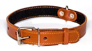 Collar de cuero para perros de la serie Signature, producto para mascotas de calidad de exportación de Divine International India - Product Image 3