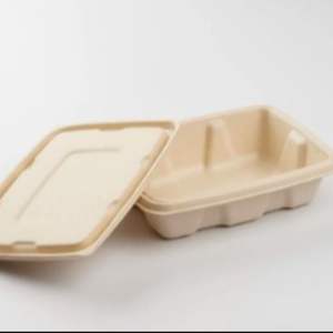 Conteneur biodégradable en bagasse de 750 ml, boîte jetable en fibre de canne à sucre pour les chaînes de restauration rapide, les vendeurs et la nourriture de rue au meilleur prix - Product Image 5