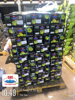 Vietnamese verse groene limoen – pitloos, sappig, exportkwaliteit voor wereldwijde distributie