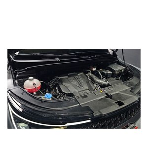 Kia Carnival 2024 de 7 Plazas, Gasolina, Limusina de Alta y Baja Gama, 45,938 km, Caja de Cambios Automática, Volante a la Izquierda - Product Image 6