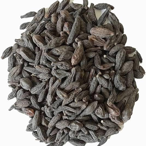 Choti Harad (Kali Harad) Polvo Negro de Himej |   Materia Prima de Terminalia Chebulal |   Secado al Sol Natural |   Hierba Ayurvédica |   CareQue - Product Image 2