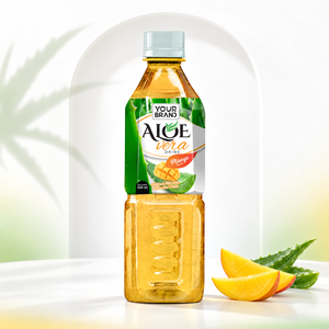 Bouteille PET 500ml Jus de mangue et d'aloe vera, fabrication OEM/ODM sur mesure, marque privée, usine de boissons, fournisseur en gros, Vietnam Nam Viet Foods - Product Image 1