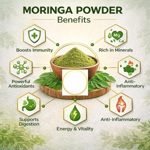Polvo de Hoja de Moringa Premium OEM ODM, 100% Puro y Natural, Polvo de Moringa Oleifera de Alta Calidad para Smoothies, Té y Bienestar Diario - Product Image 4